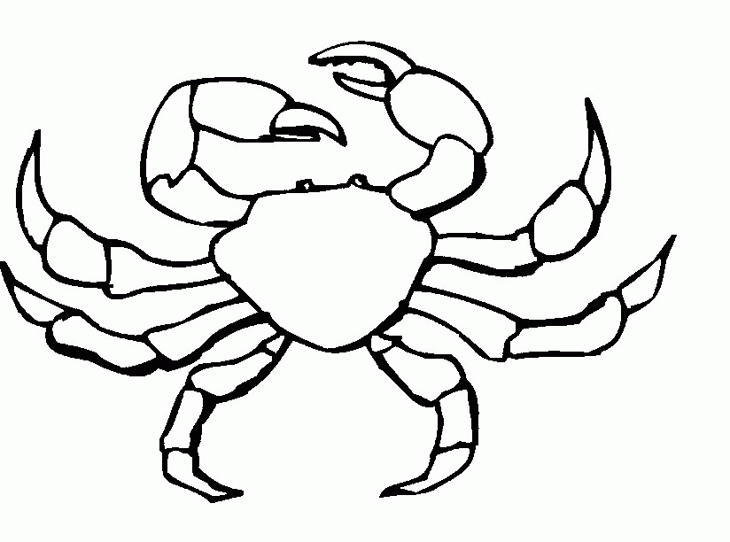 824x612 Crab Pictures To Print