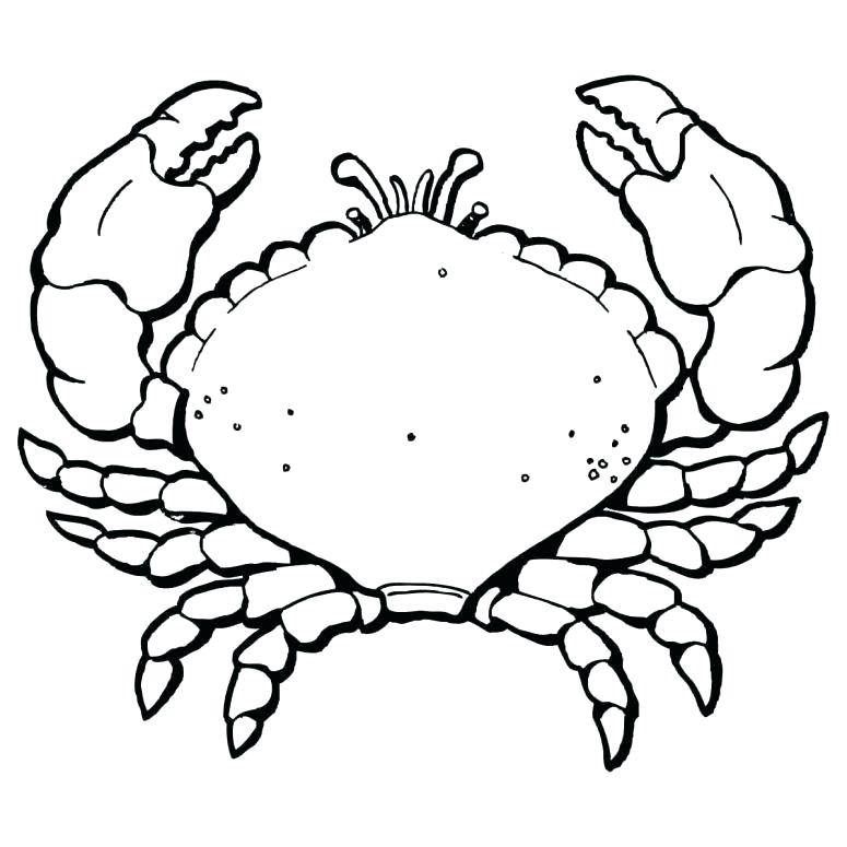 775x775 Easy Blue Crab