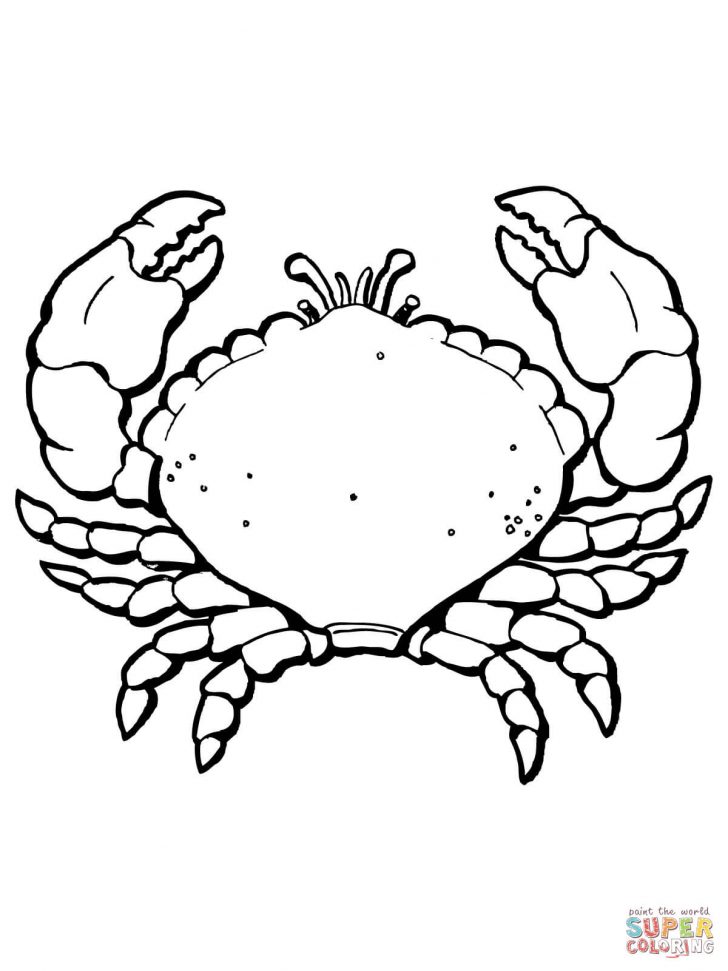 728x971 Crab Drawing Easy Step