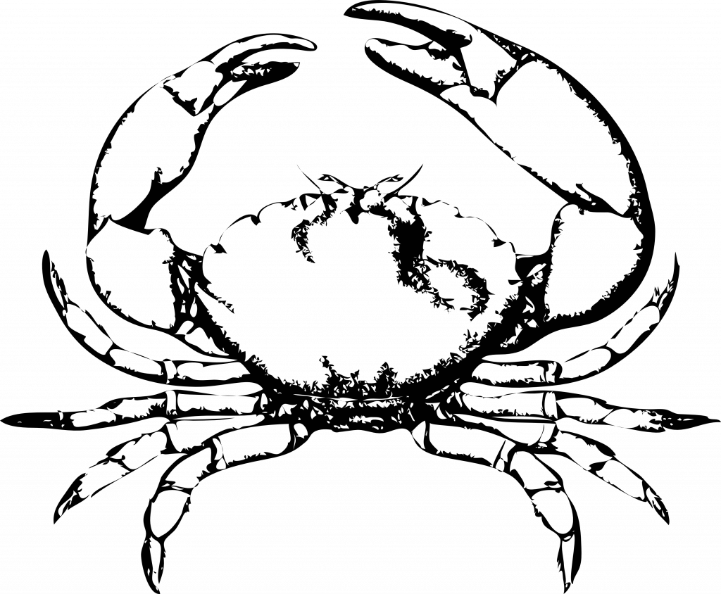 1024x844 Collection Of Free Crabs Clipart Crab Drawing Amusement Clipart