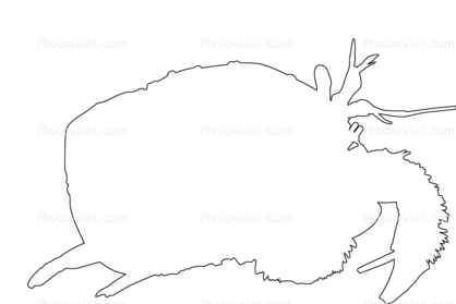 418x279 Hermit Crab Outline, Line Drawing, Shape Images, Photography