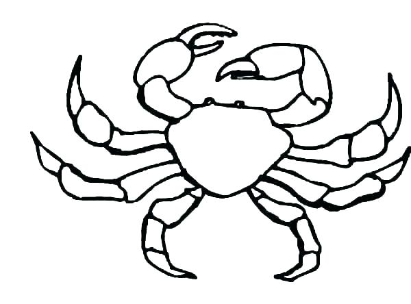 Crab Line Drawing | Free download on ClipArtMag