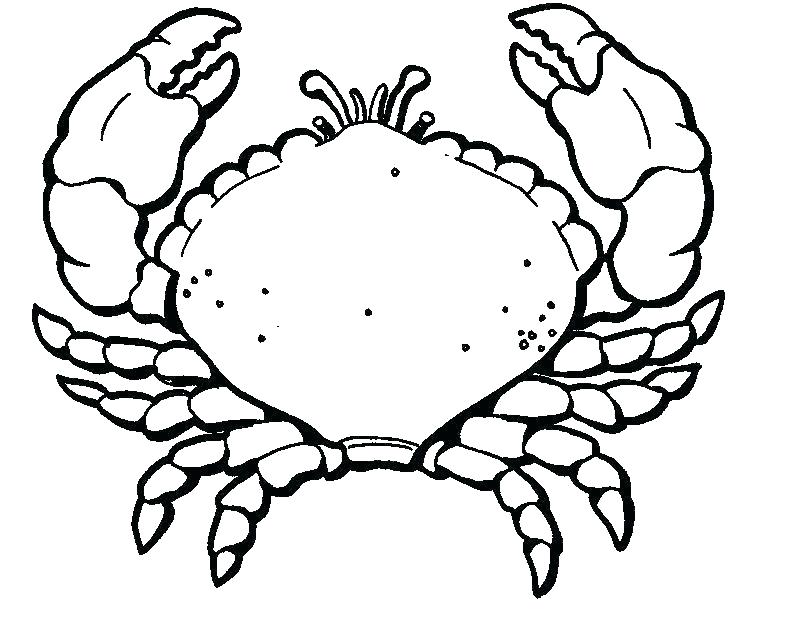 795x634 Coloring Pages Online Games For Girls To Print Disney Crab Line