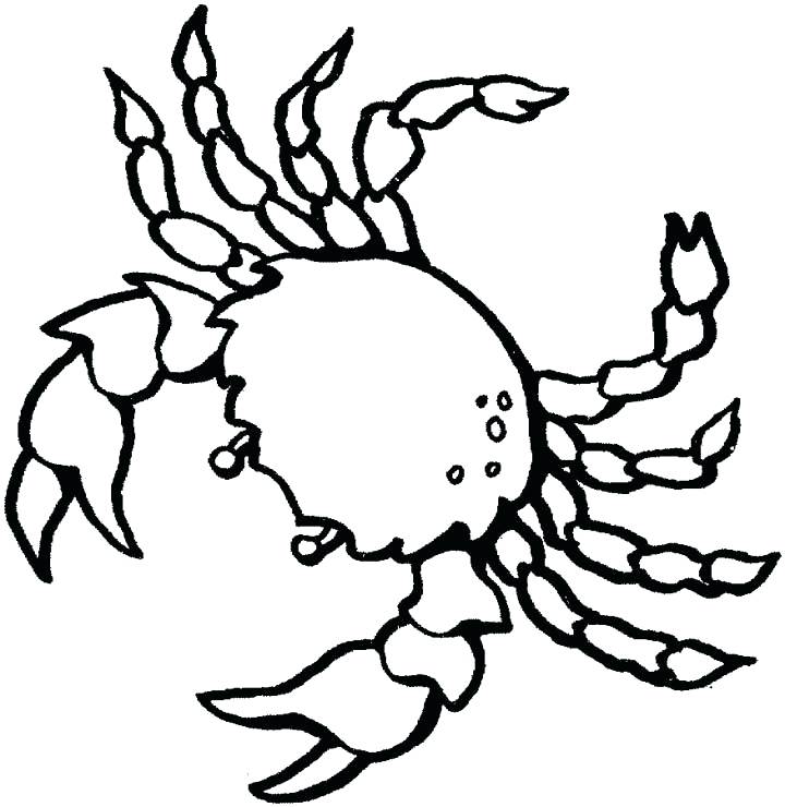 720x740 Crab Drawing Free Download
