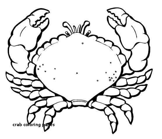 Crab Outline Drawing 