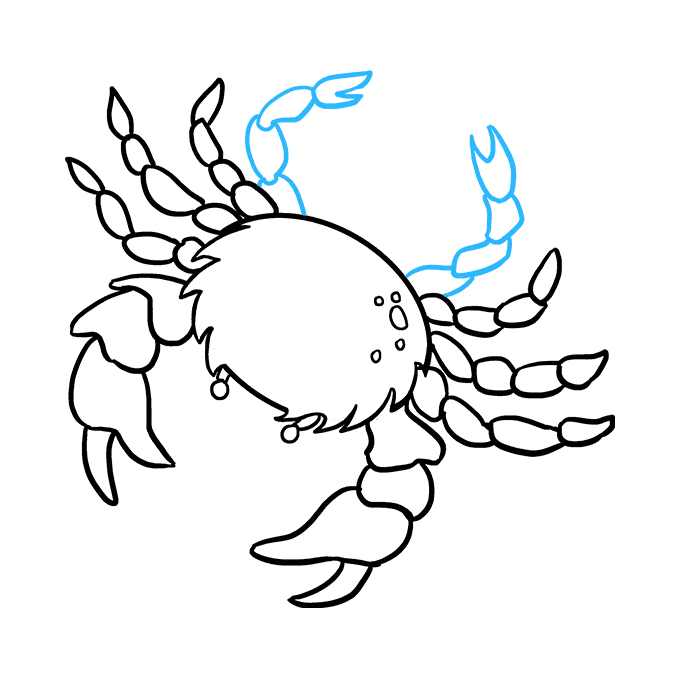 Crab Outline Drawing | Free download on ClipArtMag