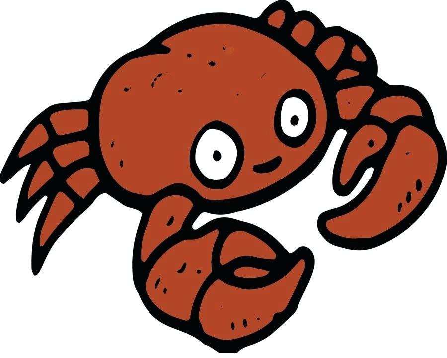 900x720 Drawing A Crab