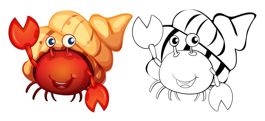 1072x490 Animal Outline For Hermit Crab
