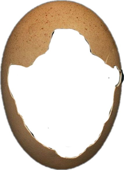 427x584 Cracked Drawing Egg Shell Transparent Png Clipart Free Download