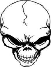 175x231 Cracked Skull Decal