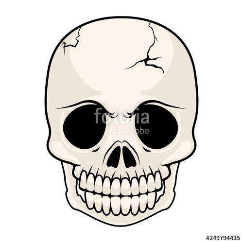 500x500 Isolated Cracked Skull Image Vector Illustration Design Stock