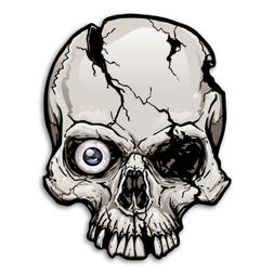 253x253 Skull Car Magnet