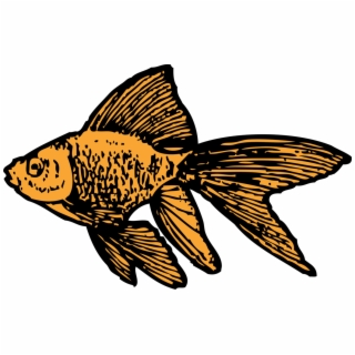 320x320 Hd Net Clip Art Goldfish Geometry Clipartist