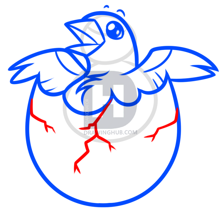 755x720 Easter Chick Drawing Lesson, Step