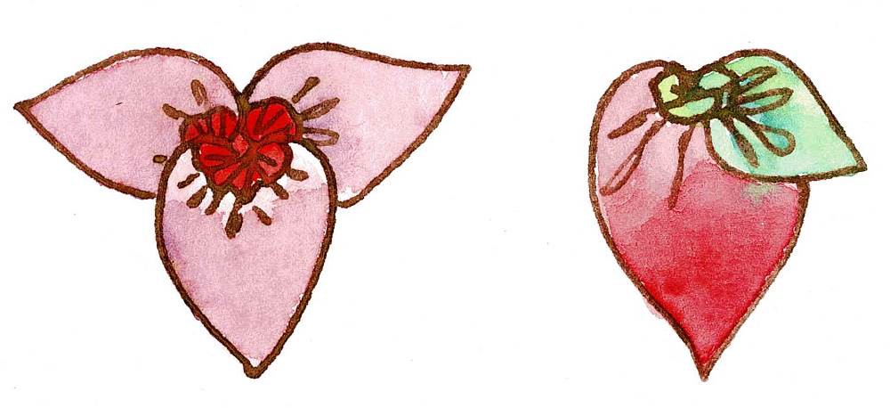 1000x458 Tsurushibina A Traditional Japanese Craft Helps Maintain