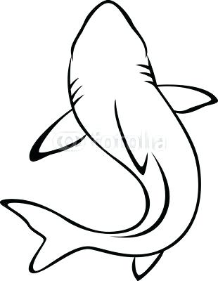 310x400 cool shark drawings shark drawing anime shark drawings in pencil