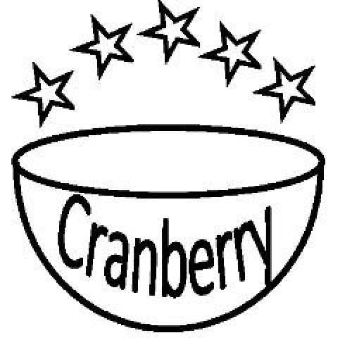 500x500 Cranberry And Sultana Porridge