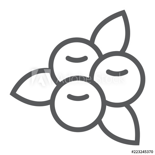 500x500 cranberry line icon, food and berry, vitamin sign, vector graphics