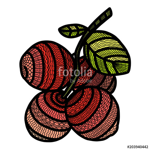 500x500 berry cranberry painted in the style of doodling with small