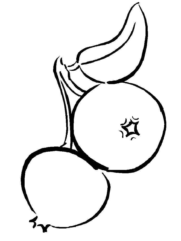 750x1000 Cranberry Coloring Pages Coloring