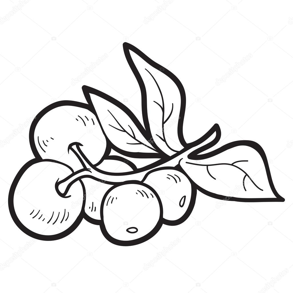 1024x1024 Collection Of Free Crakeberry Clipart Black And White Download