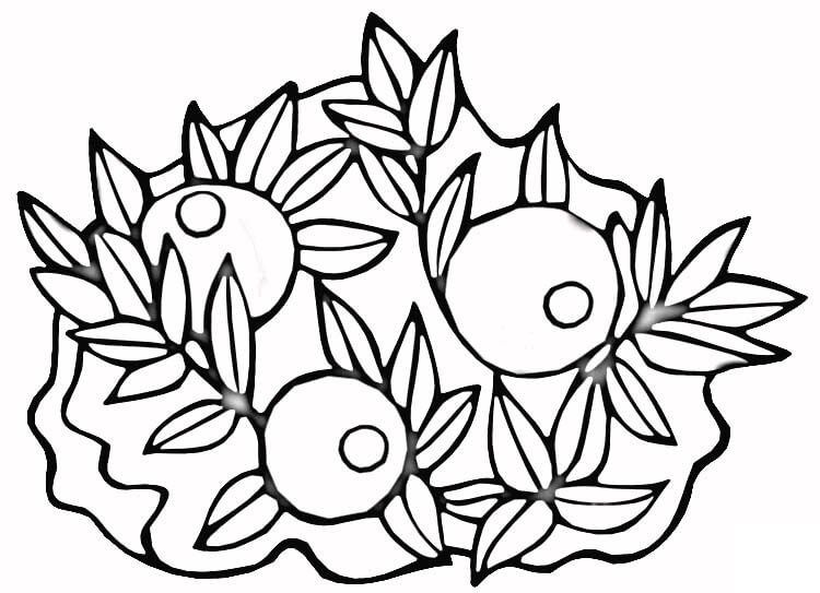 750x543 Coloring Pages Coloring Pages Cranberry, Printable For Kids