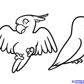 336x336 crane bird easy drawing cute steps dodo tweety hummingbird big