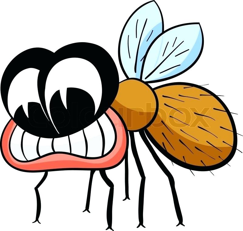 800x761 drawing of a fly crane bird flying drawing crane bird flying