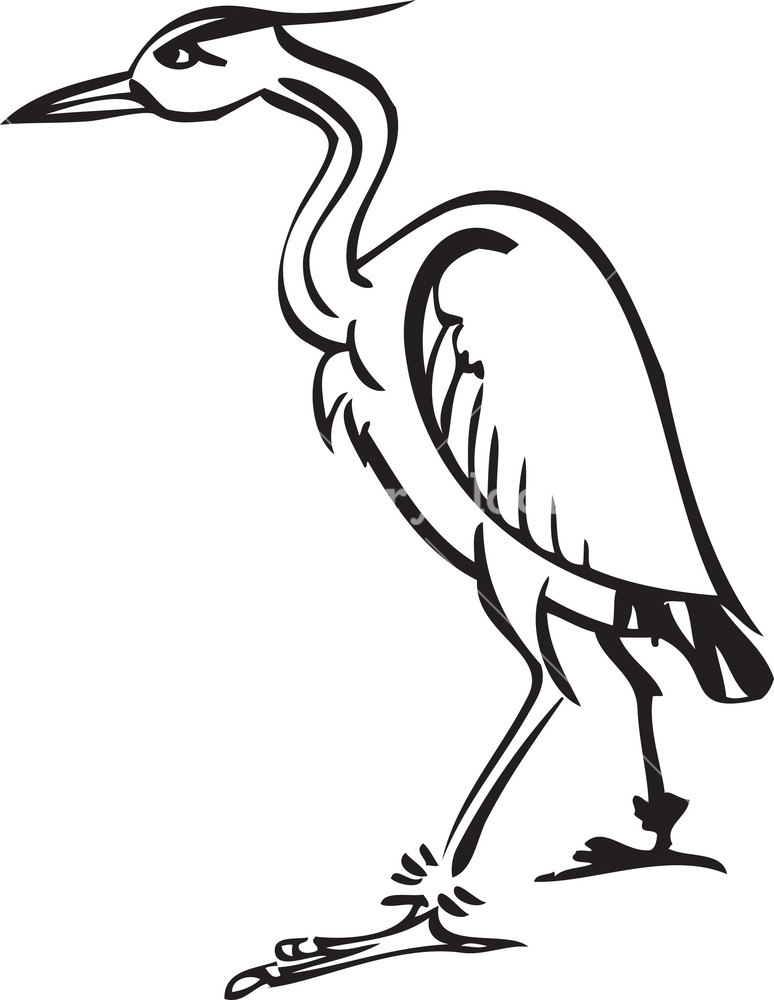 774x1000 Illustration Of A Crane Bird Royalty Free Stock Image