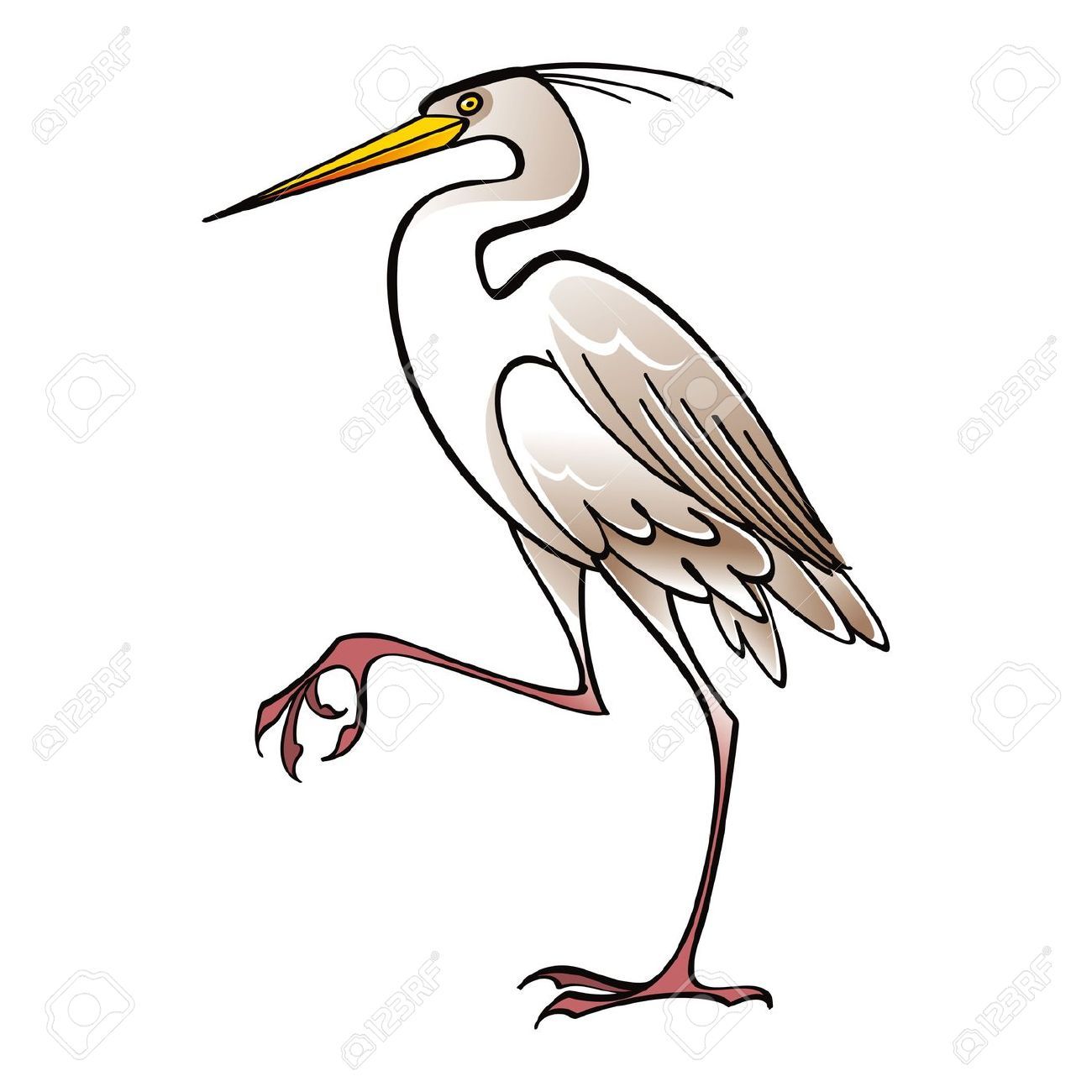 1300x1300 White Crane Bird Clip Art Birds Stork Bird, Heron, Birds