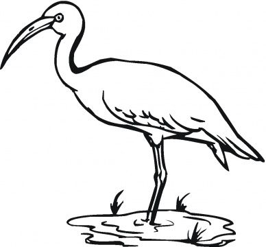 388x360 Crane Bird