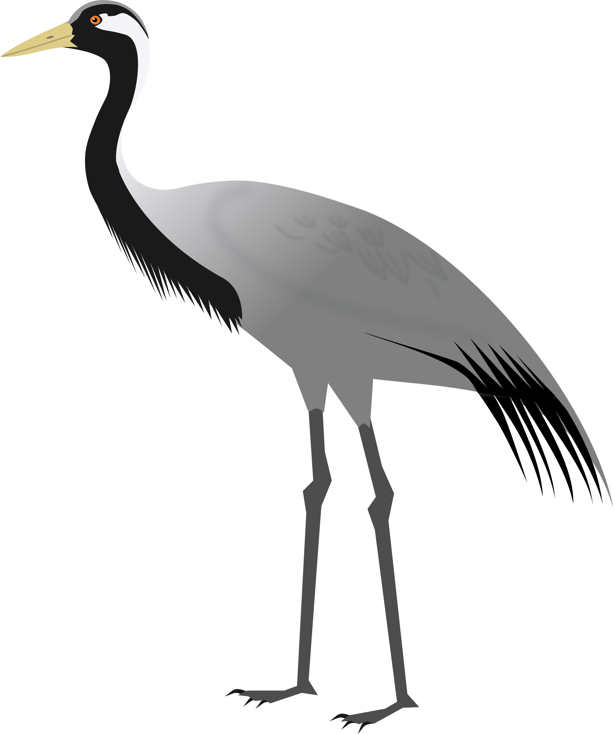 2000x2394 Collection Of Free Crane Drawing Bird Download On Ui Ex