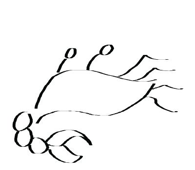 400x350 Drawing A Crab Tribal Crab Crane Drawing Cad