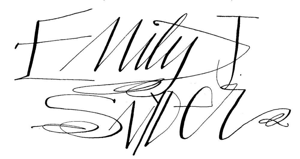 1000x530 Emily J Snyder