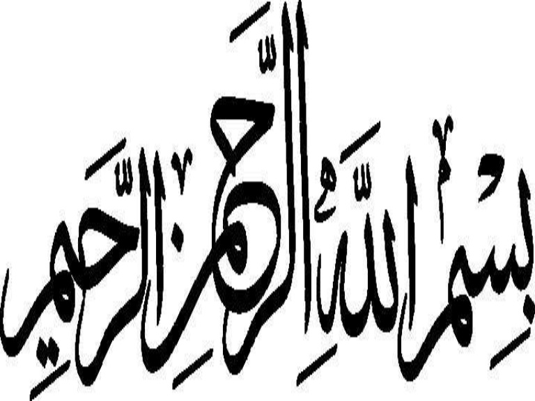 768x576 bulbar cranial nerves