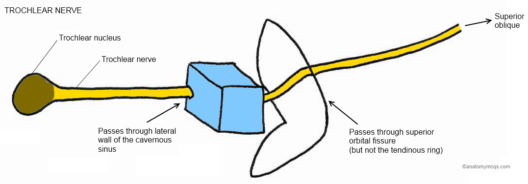 1077x377 Cambridge Questions