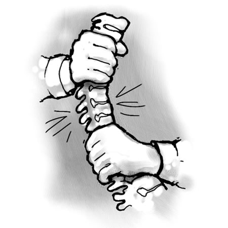 450x450 spinal nerve roots do not hook up to organs!