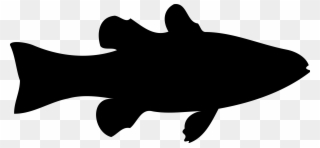 320x148 crappie vector