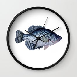 264x264 crappie wall clocks