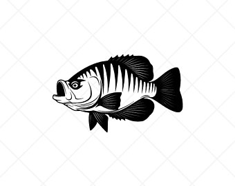 340x270 crappie clip art etsy
