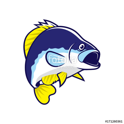 500x500 crappie fish stock image and royalty free vector on fotolia