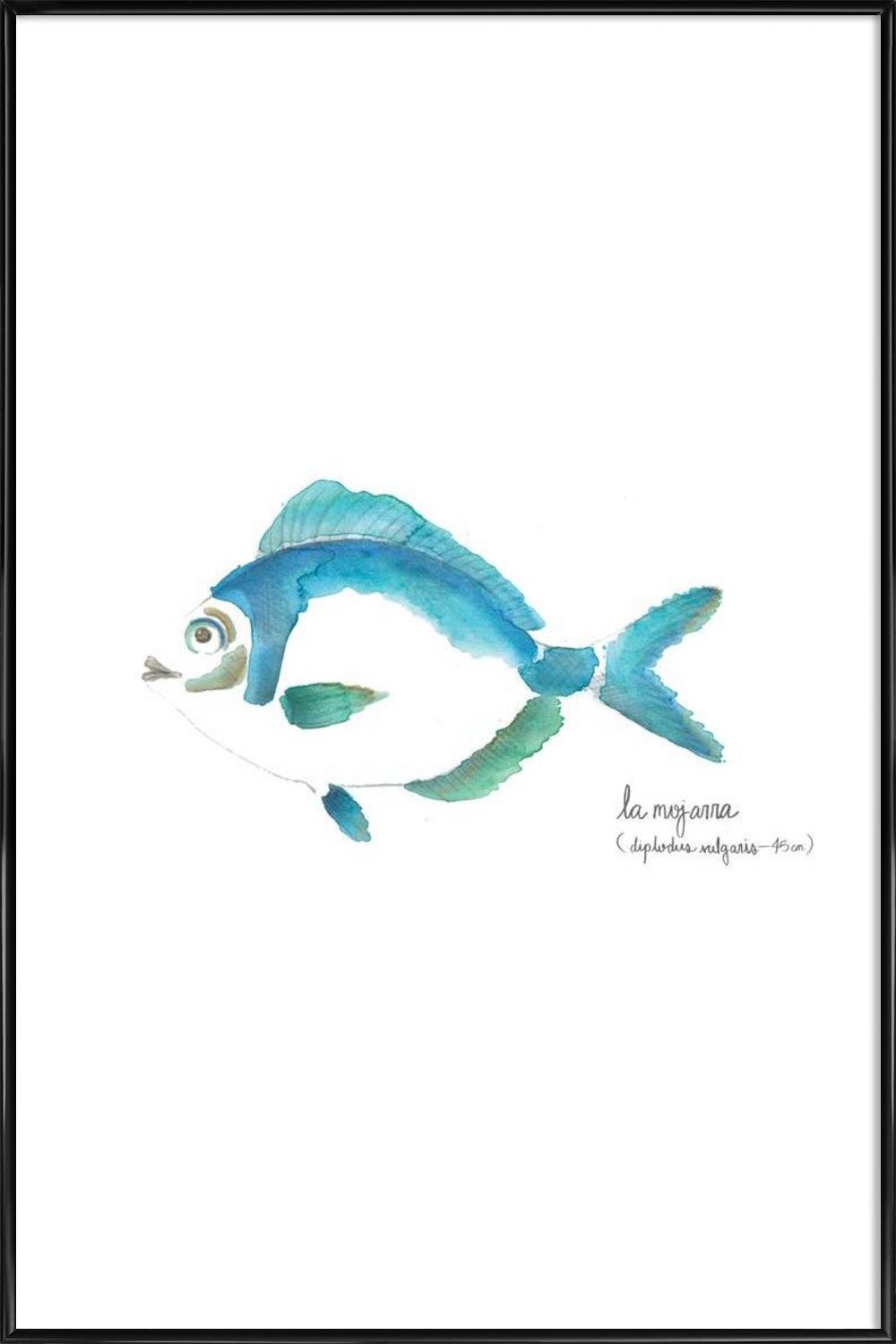 1000x1500 La Mojarra Azul