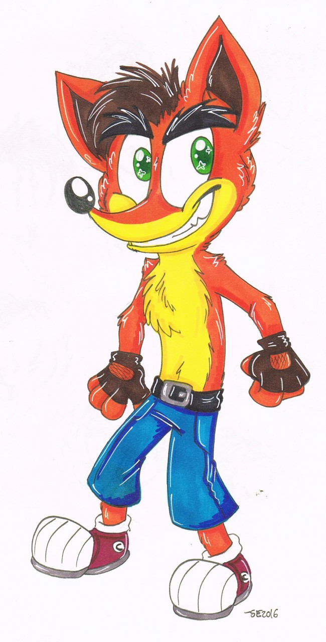 650x1280 Crash Bandicoot