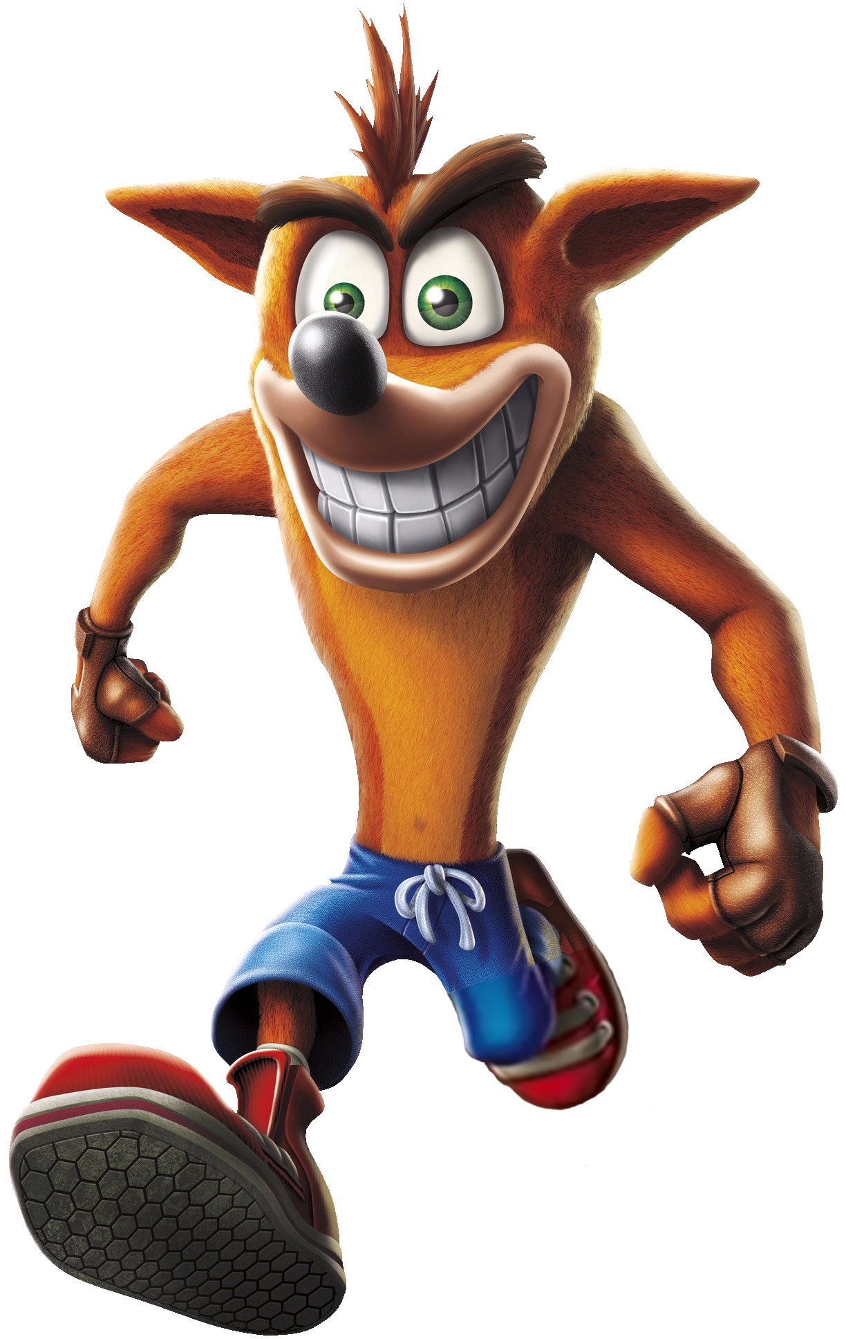 1224x1936 Crash Bandicoot Yuna's Princess Adventure Wikia Fandom Powered