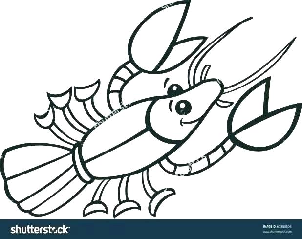 618x489 Crawfish Coloring