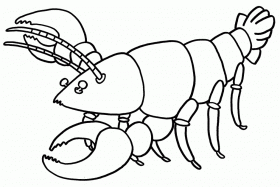 280x187 Crawfish Drawing