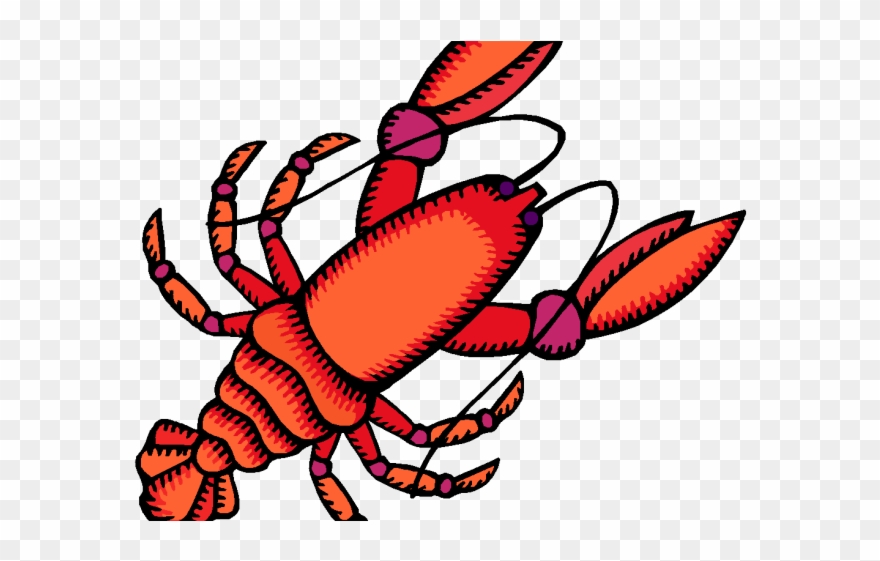 880x561 Crayfish Clipart Yabbie