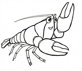 289x250 Crayfish For Species Id