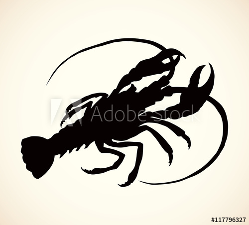 500x452 Crayfish Vector Drawing