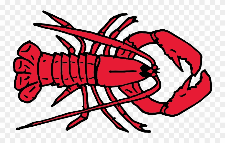880x560 Free Crayfish Clipart